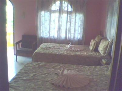 Cotton Tree Hotel Negril Room photo